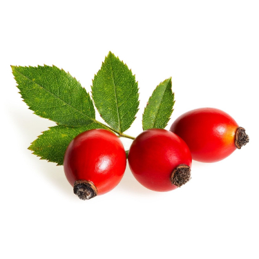 is rosehip powder good for dogs