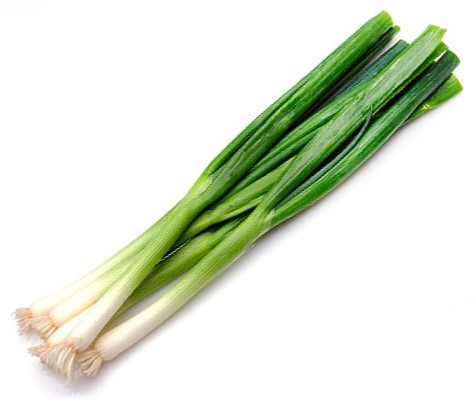 are green onions good for dogs