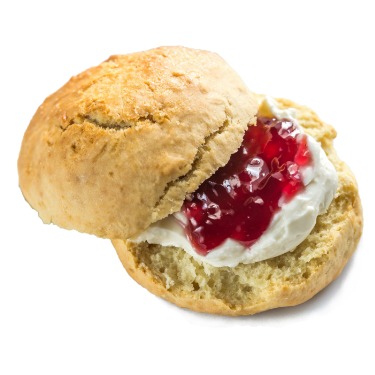 can dogs eat scones