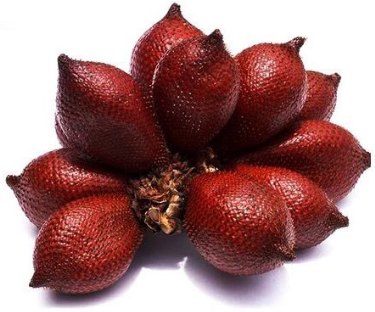 can dogs eat snake fruit