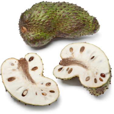 can dogs eat soursop