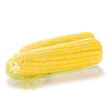 is sweet corn good for dogs