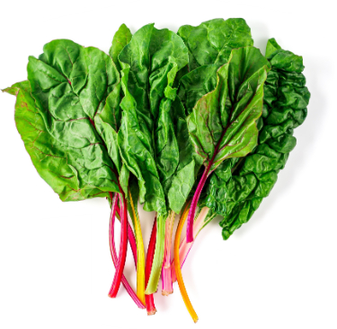 can dogs have swiss chard