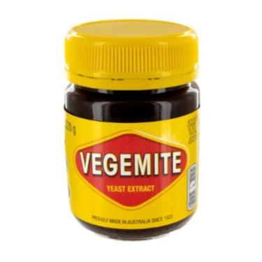 blog post can dogs eat vegemite