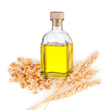 can dogs eat wheat germ oil