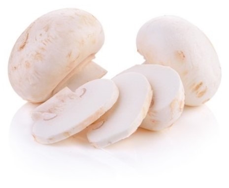 are button mushrooms bad for dogs