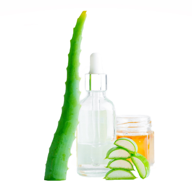 can dogs have aloe vera oil