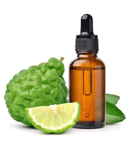 can dogs have bergamot essential oil