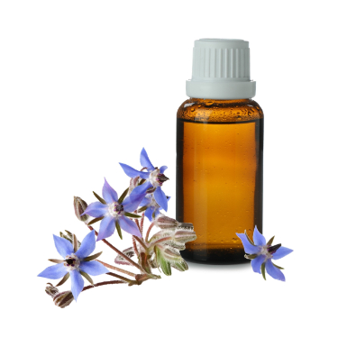 can dogs have borage seed oil