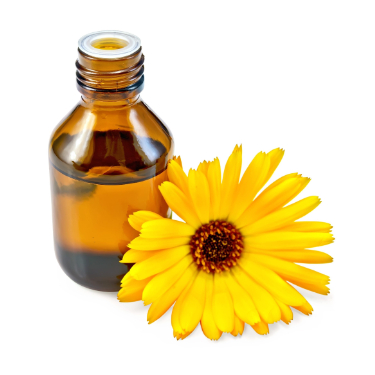 can dogs have calendula essential oil
