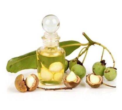 can dogs have calophyllum oil