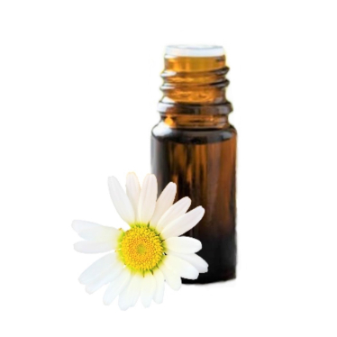 can dogs have chamomile essential oil