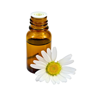 can dogs have chamomile essential oil