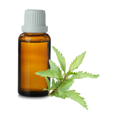 can dogs have chenopodium essential oil