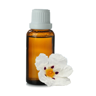 can dogs have cistus essential oil