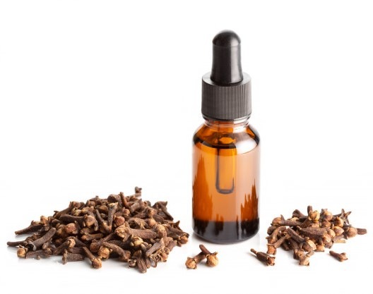 can dogs have clove essential oil