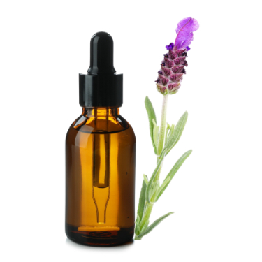 can dogs have crested lavender essential oil