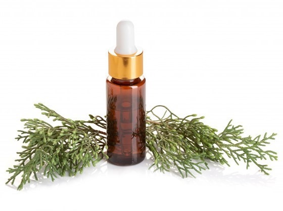 can dogs have cypress essential oil