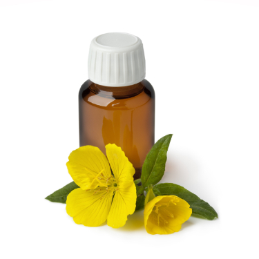 can dogs have evening primrose oil