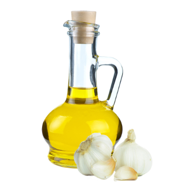 can dogs have garlic oil