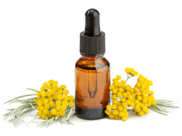 can dogs have helichrysum oil