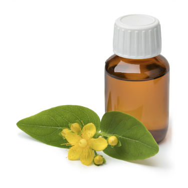 can dogs have St. John's Wort oil