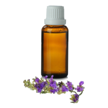 can dogs have hyssop essential oil