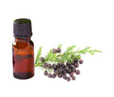 can dogs have juniper essential oil