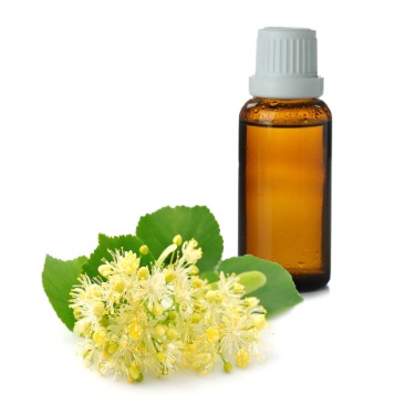 can dogs have linden blossom oil