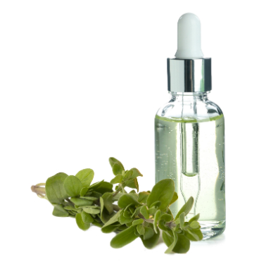 can dogs have marjoram oil