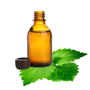 can dogs have patchouli essential oil