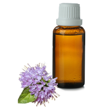 can dogs have pennyroyal essential oil