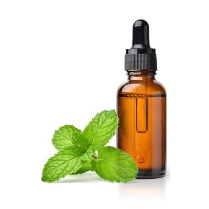 can dogs have peppermint essential oil