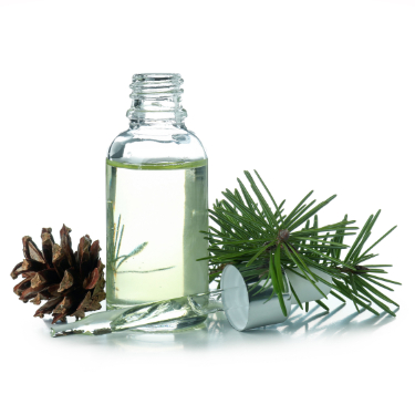 can dogs have pine essential oil