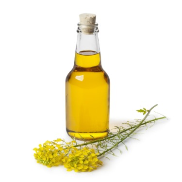 can dogs eat rapeseed oil