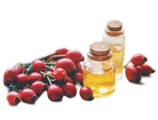 can dogs have rosehip seed oil