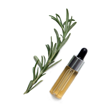 can dogs have rosemary essential oil