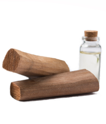 can dogs have sandalwood essential oil