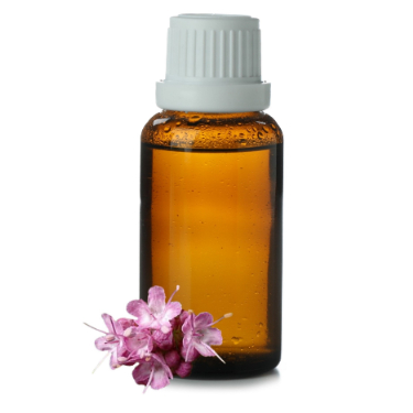can dogs have spikenard essential oil
