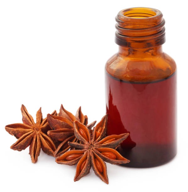 can dogs have star anise oil