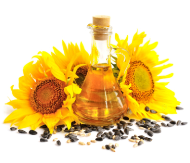 can dogs have sunflower oil