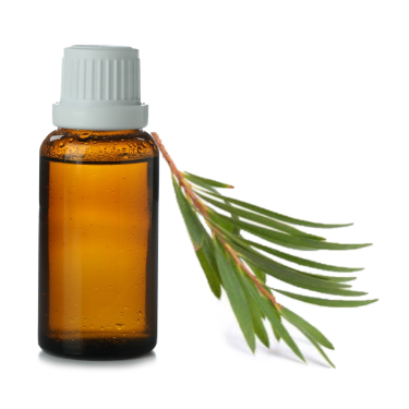 can dogs have tea tree essential oil