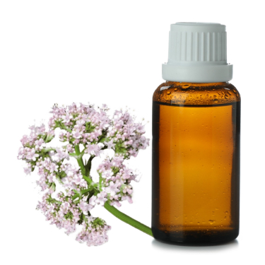 can dogs have valerian essential oil