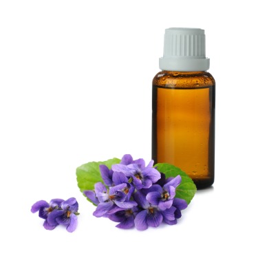 can dogs have violet leaf essential oil