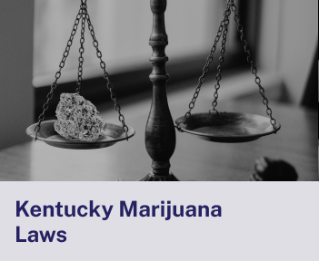 Kentucky Marijuana Laws