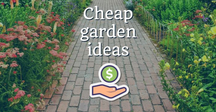The best cheap ideas for garden decor