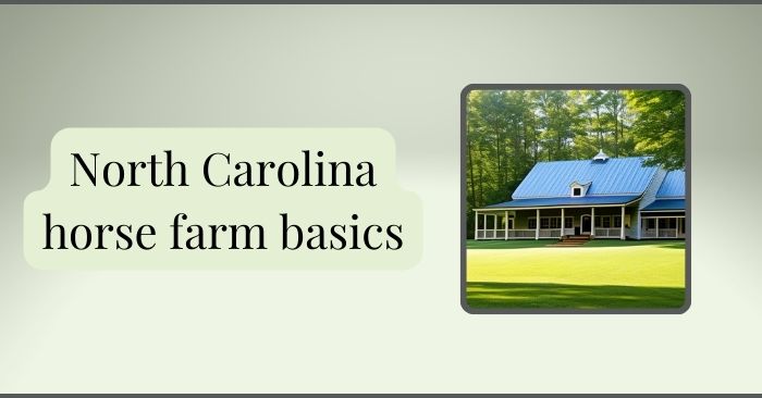 An investors guide to NC equestrian properties featured image