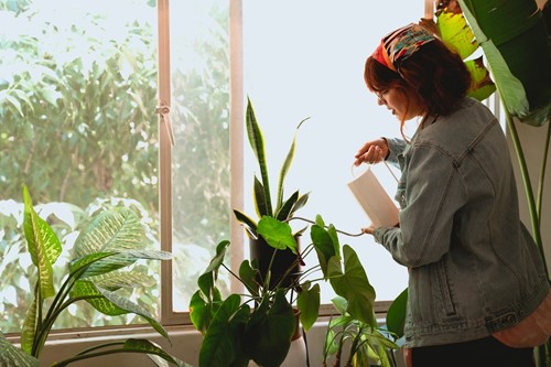 Are You Watering Your Houseplants the Right Way? Here's What to Know