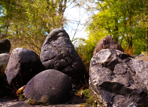 Rock garden ideas: How to design your own