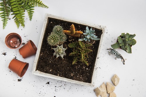 Garden decor guide: DIY concrete planters